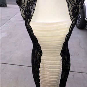 CACHE black and beige lace dress